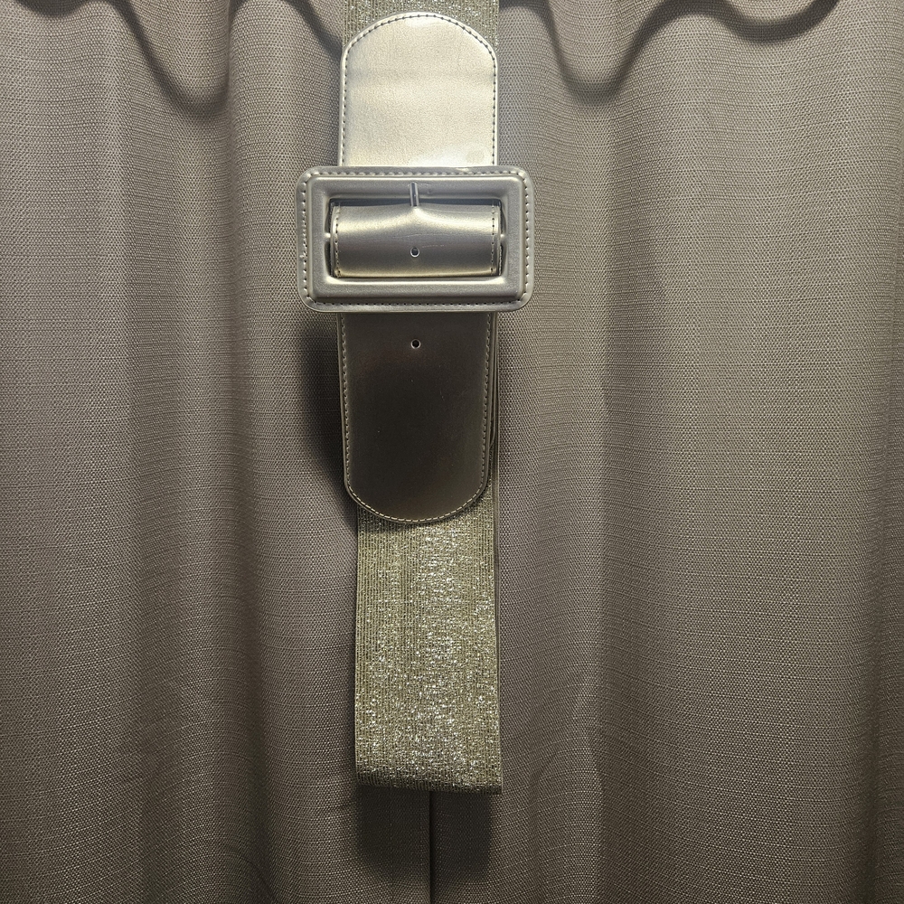 Gold Wide Belt with Buckle